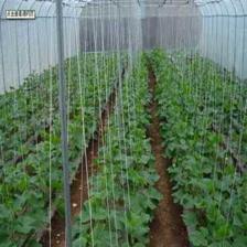 萊蕪市萊城區蔚霖節水灌溉產品經營部